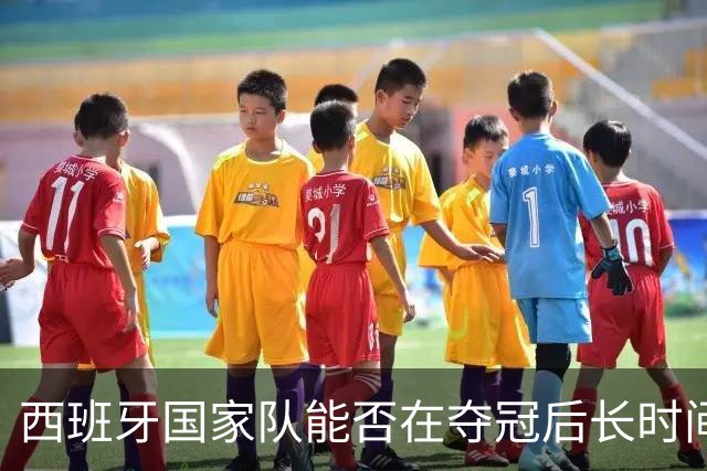 西班牙国家队能否在夺冠后长时间保持竞争力？