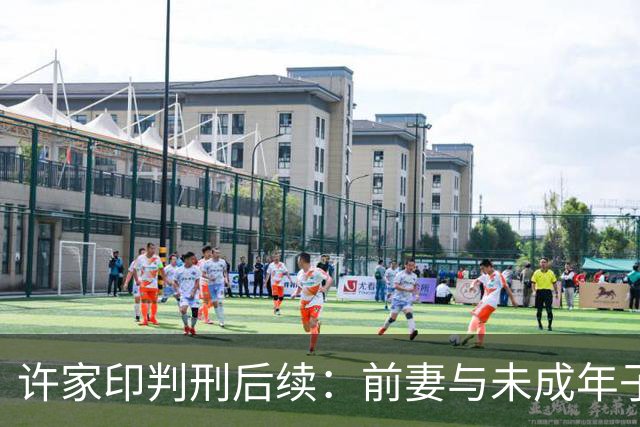 许家印判刑后续：前妻与未成年子女的真相浮出水面